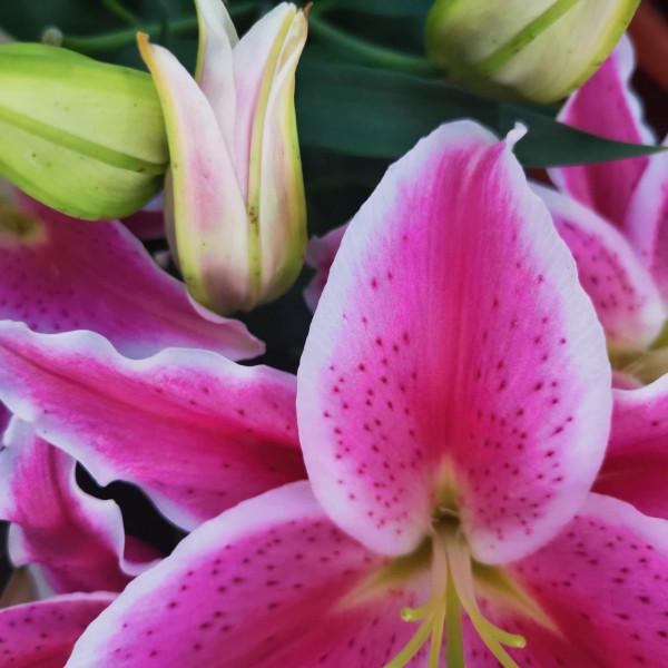 耐得住，躺得平，成語新解：明心見性