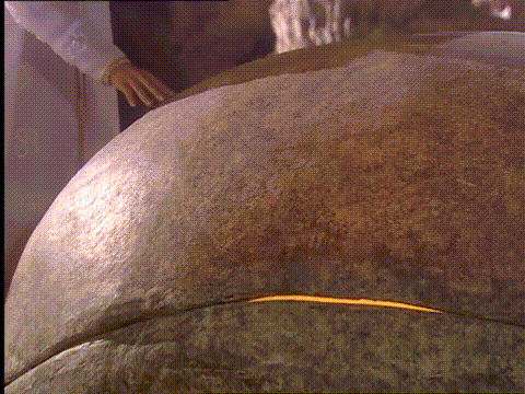 18年前老劇《少年王》:藍色“衛斯理”風暴,至今依然領先時代 18年前老劇《少年王》:藍色“衛斯理”風暴,至今依然領先時代