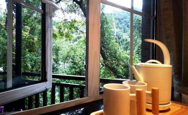 金秋十月，沉醉在江南絕美的秋色中，經典還免費