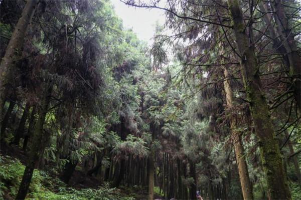 彭水 一個來了就不想走的地方