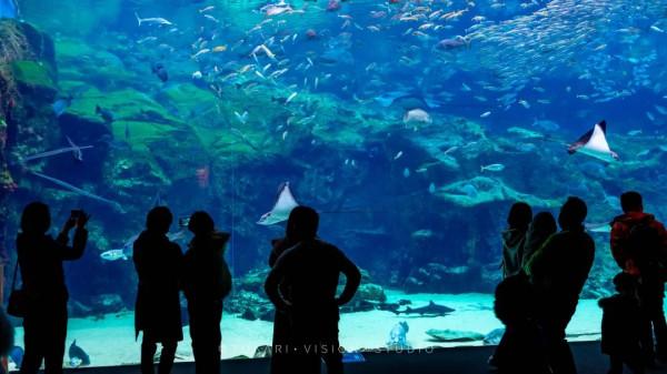 逛逛日本 &vert; 冬遊紀行 樂在九州