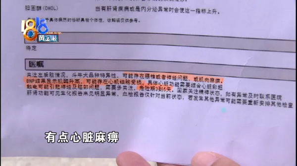 法鬥犬疑似被小區燈柱電傷，物業回應：沒有漏電
