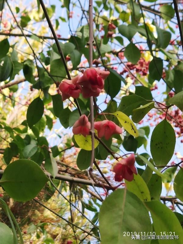 高中記6：開學一個月消費記錄，花錢如流水的高中生活