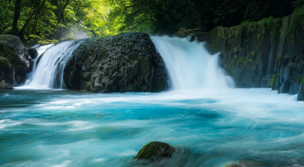 獨立超群，一身傲骨的星座，喜歡獨來獨往，走到哪也不用依賴別人