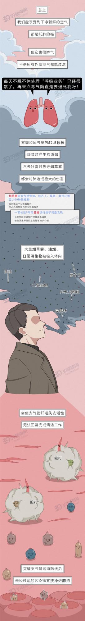 中國人的肺，是如何一步步“壞”掉的？這些養肺的方法很科學