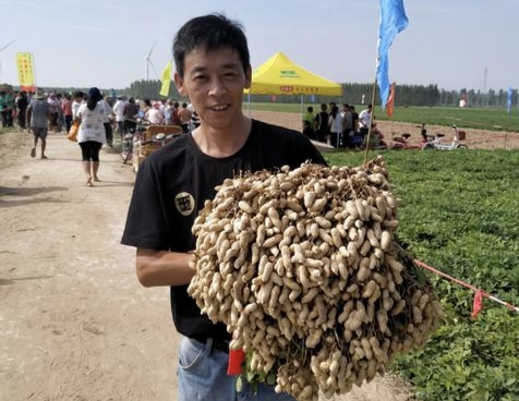 老農說只要你按照以下四種方法去管理花生，不用愁花生沒有產量