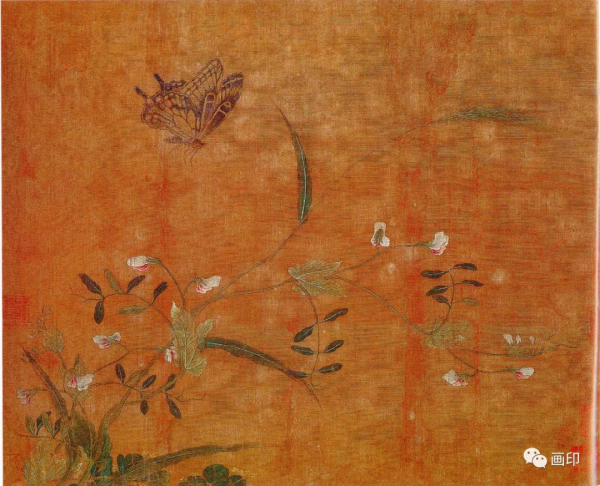 五代 · 黃居寀《花卉寫生圖冊》