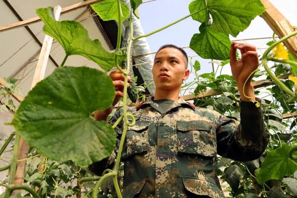 小崗位、大作為,走近軍中“專業兵” 小崗位、大作為,走近軍中“專業兵”