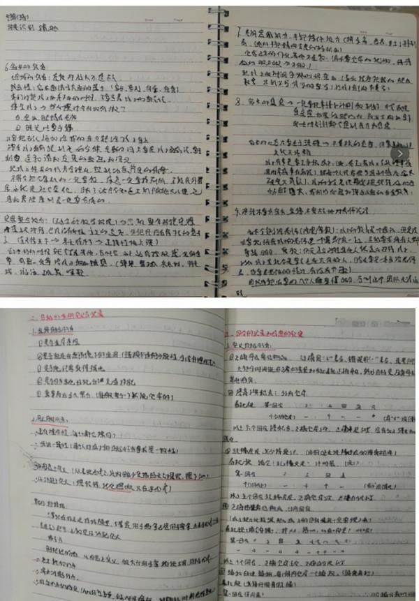 關於幾年來的同伴介入回憶錄（下）