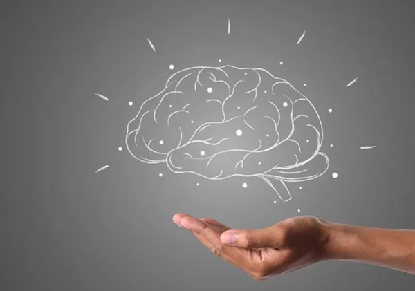 有助大腦健康的3種食物，您是否常吃呢？