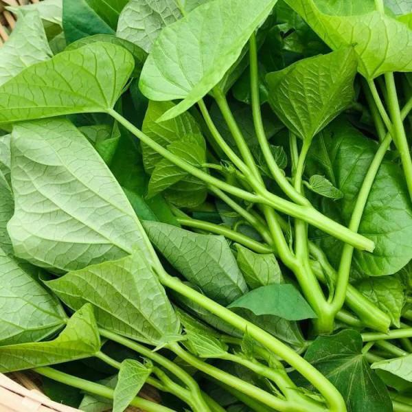 入冬後記得給孩子吃8種“維生素冠軍”,我家常吃7種,你家呢? 入冬後記得給孩子吃8種“維生素冠軍”,我家常吃7種,你家呢?