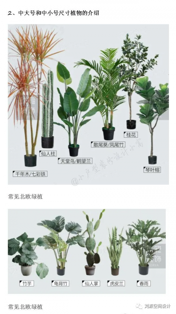 沒有這些綠植，怎麼能叫北歐風？