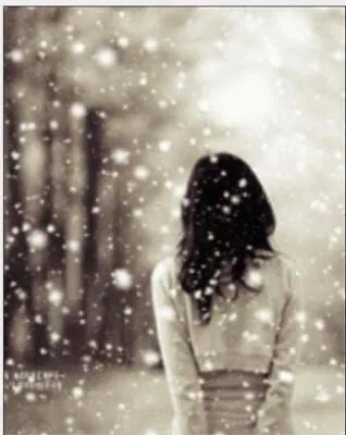 《致雪十二首》