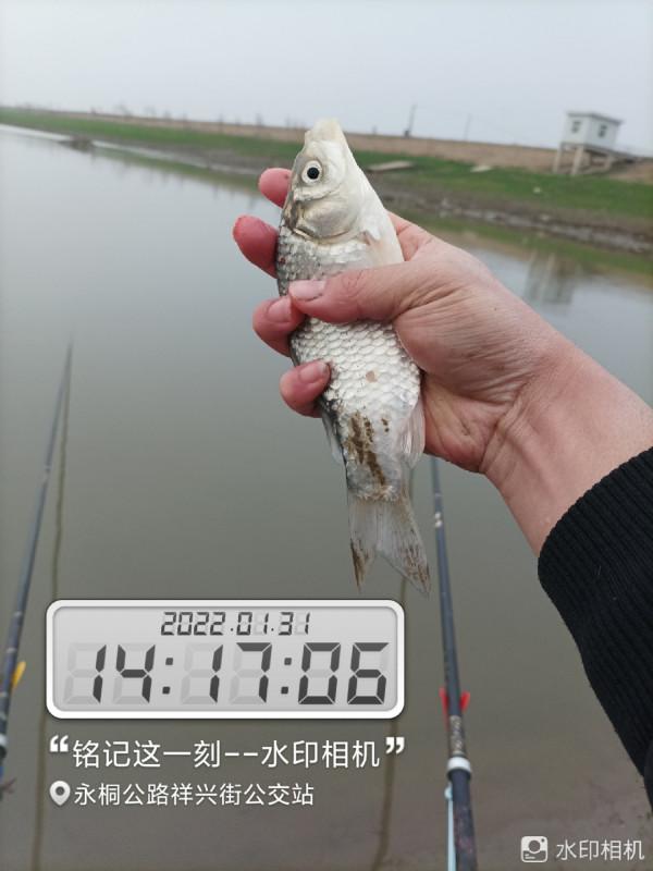 新年新氣象，虎年首釣完美爆護