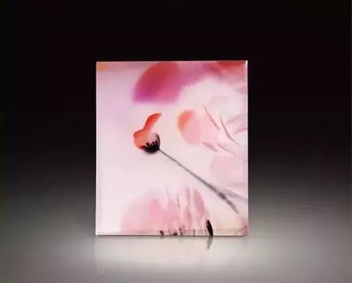 海底精靈（上）