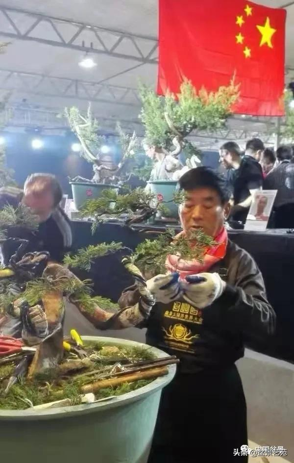 老樹閒看百鳥歸——訪著名盆景藝術家曹志振先生