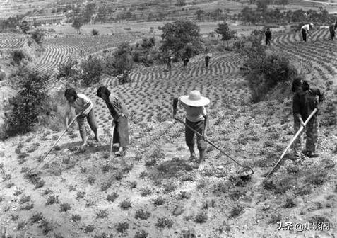 煙臺棲霞縣六十至八十年代老照片