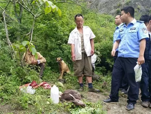 國家將嚴查農村這幾種小生意，見一個抓一個，誰都別想逃