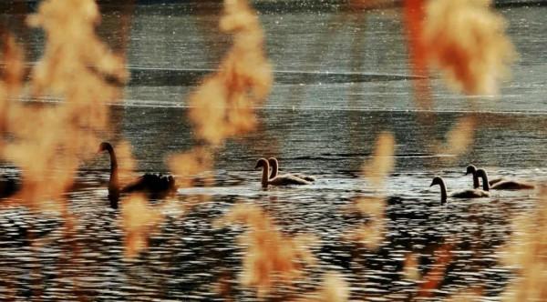 漫談圓明 | 遇見圓明園的那一個冬天