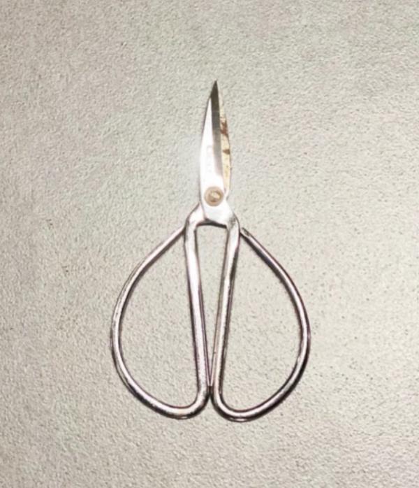 侵華日軍“慰安婦”罪行鐵證如山，不容否認