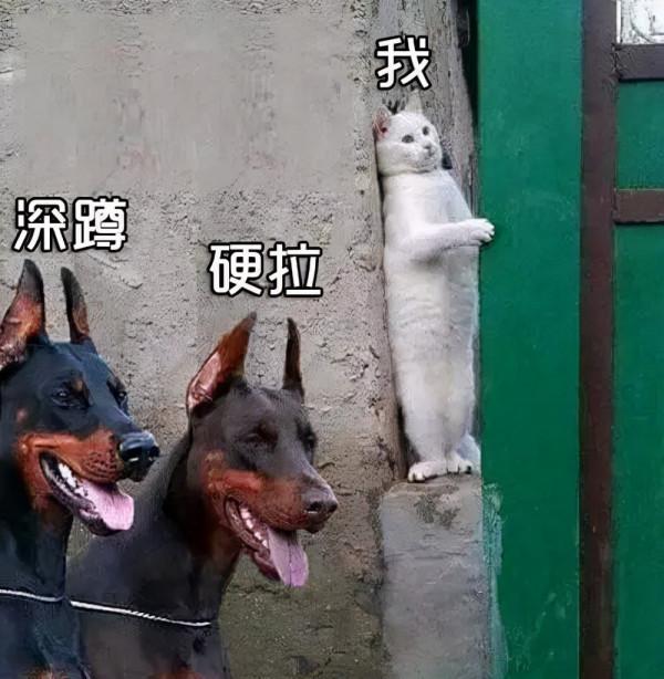 複合訓練和孤立訓練，哪一種健身效果更好？