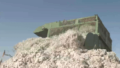 2021年棉花減產的原因及其表現,未來棉花產業的格局又是怎樣? 2021年棉花減產的原因及其表現,未來棉花產業的格局又是怎樣?