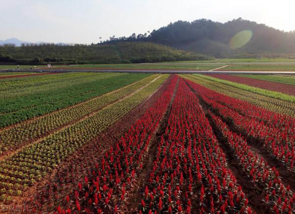 國慶城市top10排名,哪個城市最受歡迎? 國慶城市top10排名,哪個城市最受歡迎?