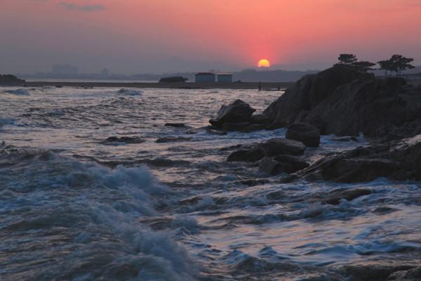 1975年，漁民在渤海底發現&OpenCurlyDoubleQuote;神秘&rdquo;化石，證明一萬年前這裡是陸地