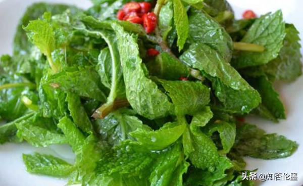 為什麼“農村庭院牆根很愛種植一些薄荷”?原來有這麼多用途 為什麼“農村庭院牆根很愛種植一些薄荷”?原來有這麼多用途