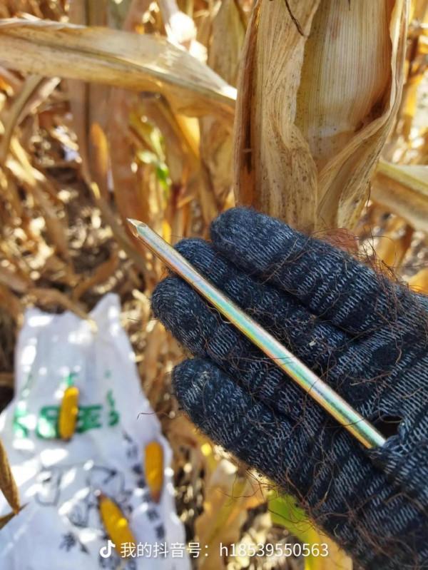 玉米地被淹，我″撿了&quot;一臺洗衣機