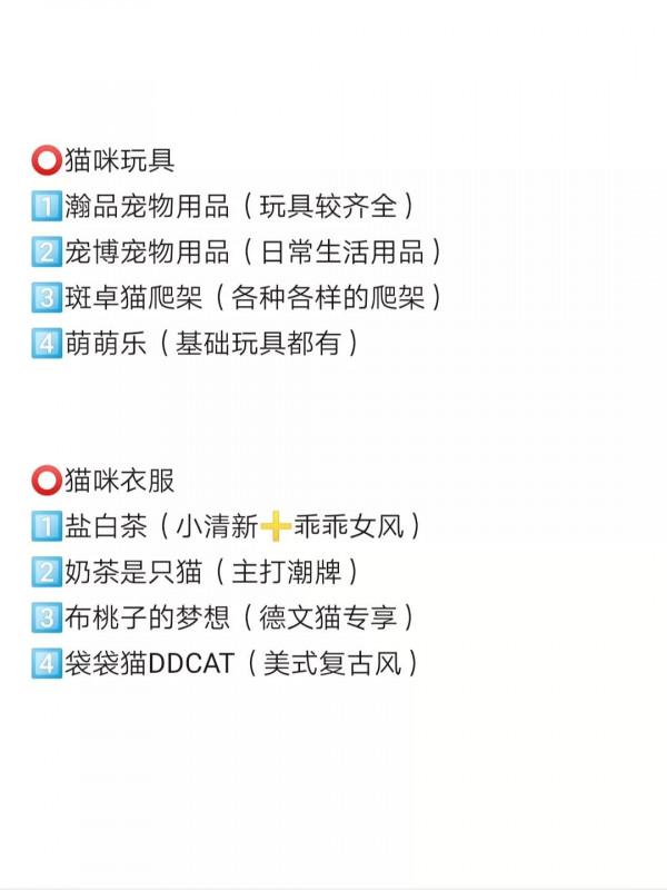 2021年雙十一養貓 2021年雙十一養貓