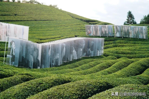 今年的旅行計劃怎麼做？不如跟著有趣的節日去旅行
