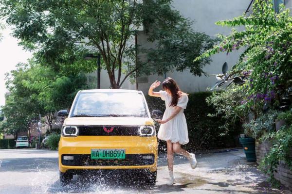 全球2021年新能源汽車銷量終極排行