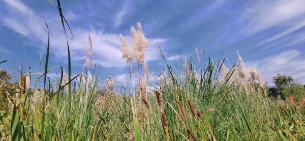 蹲下你的身體，與孩子說話