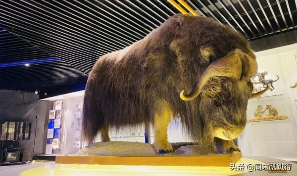 親子打卡!科學探索,細菌好有趣啊,參觀1000+件標本 親子打卡!科學探索,細菌好有趣啊,參觀1000+件標本