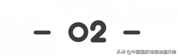 甘肅人的命,都是土豆給的 甘肅人的命,都是土豆給的