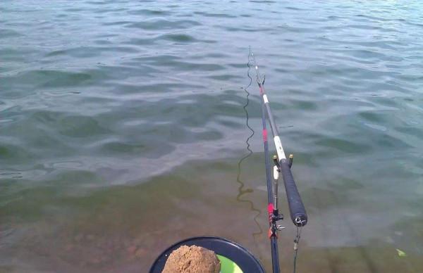 漲潮和退潮,哪一種情況才更適合釣魚 漲潮和退潮,哪一種情況才更適合釣魚