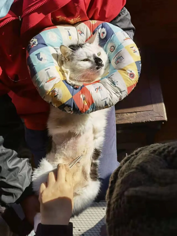 穿上馬甲我就不認識你了？