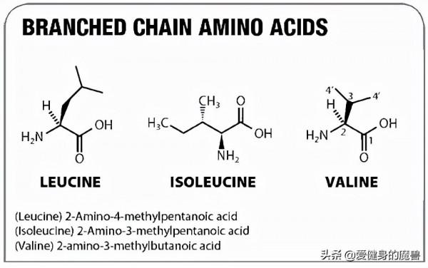 死磕訓練十分累，為什麼別人的肌肉像“超跑”那麼快合成？