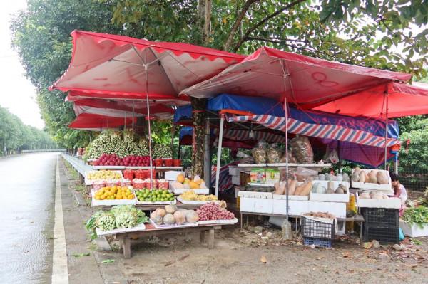 距廣州一小時車程的增城派潭鎮,一個遠離城市喧囂的生態小鎮 距廣州一小時車程的增城派潭鎮,一個遠離城市喧囂的生態小鎮
