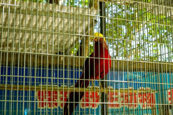 潮州潮安,哪些景點必須打卡?這裡看過來 潮州潮安,哪些景點必須打卡?這裡看過來