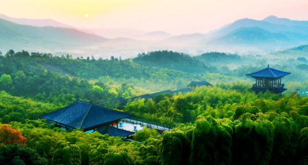 3萬株銀杏林把秋意渲染至極，第一眼就心動了