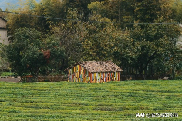 今年的旅行計劃怎麼做？不如跟著有趣的節日去旅行