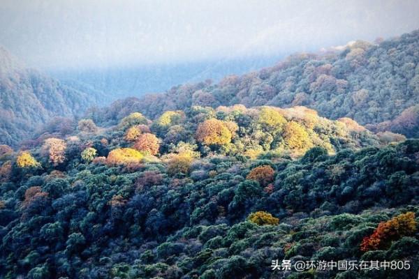 一生一定要去一次的地方,貴州梵淨山 一生一定要去一次的地方,貴州梵淨山