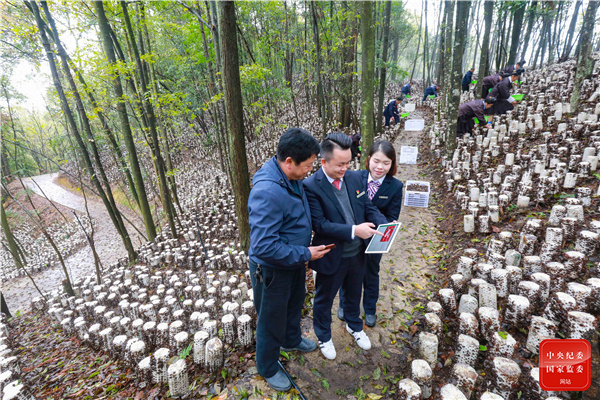 小康相簿｜數字經濟蓬勃發展