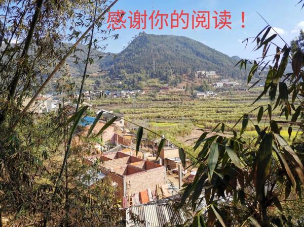 自建房，施工過程沒那麼難，保證安全、質量是最好的利潤和口碑