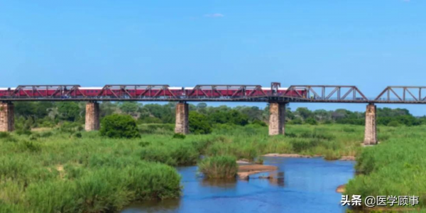 非洲自然界酒店