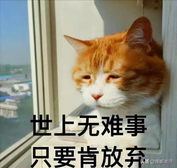 太極拳大坑之——丹田發力