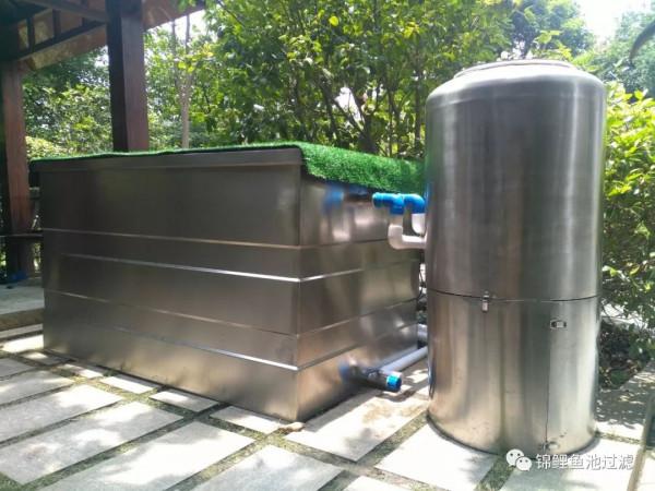 你的魚池過濾系統是否需要最佳化？