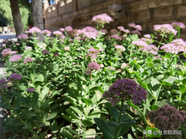 漢EV自駕甘肅，免費停車的充電樁最方便，參觀亞洲最大室內臥佛